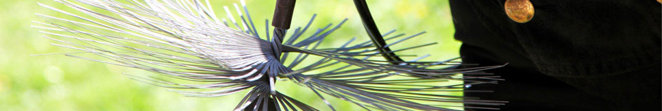 Banner - Reinhard Bauer